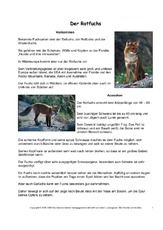 Rotfuchs-Steckbrief-Seite-1.pdf